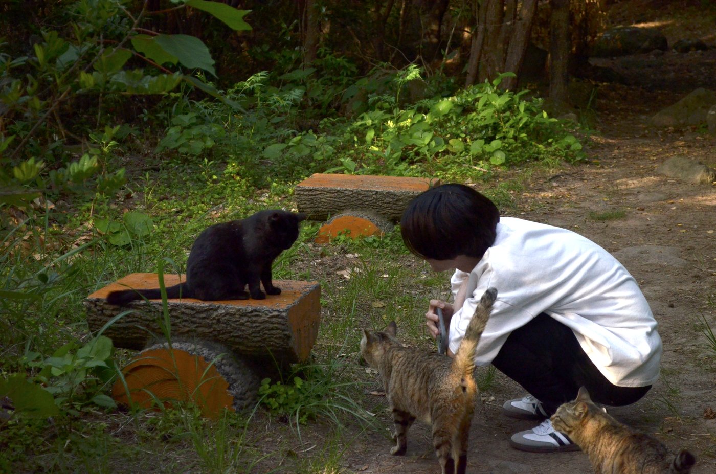 森の中でしゃがんで猫と向き合う高橋颯真